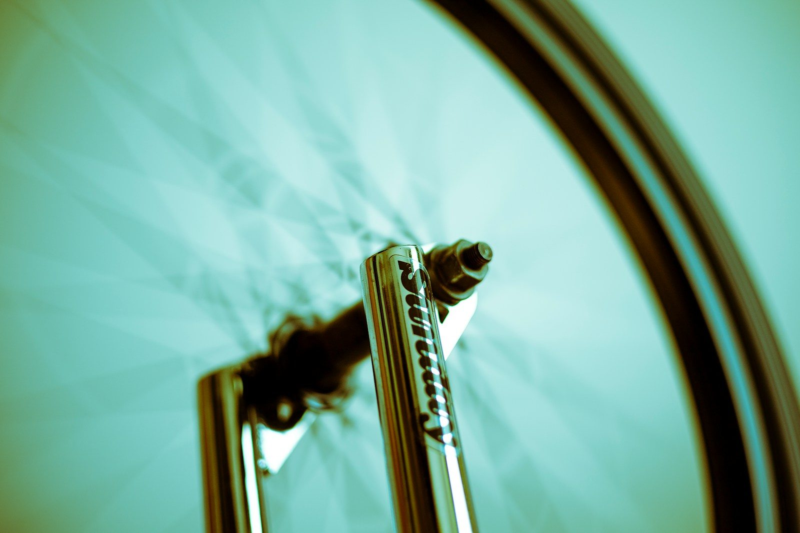 Anatomy of a Bicycle Wheel: Components and How They Work Together